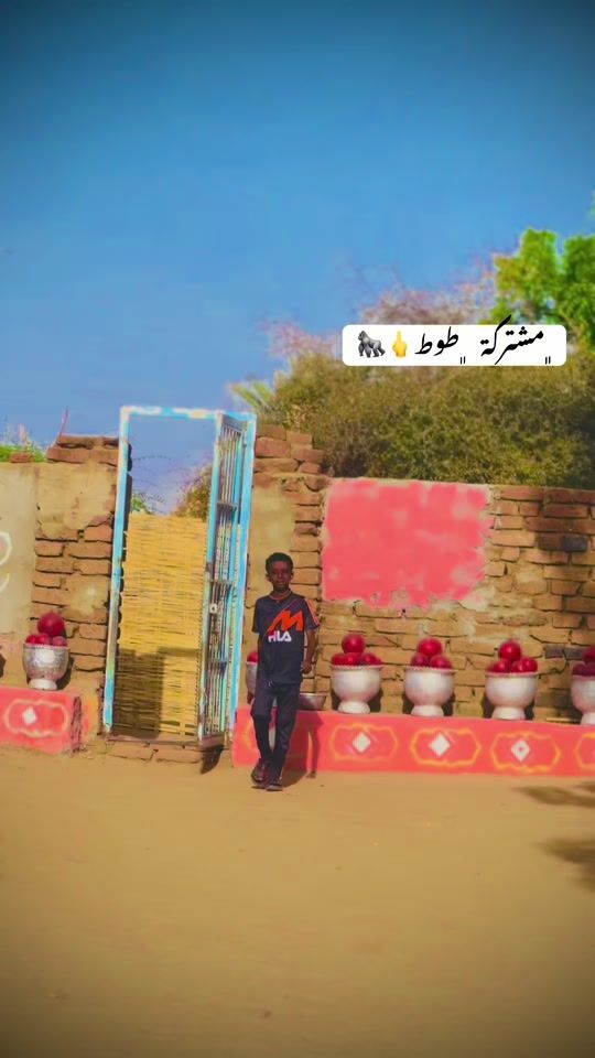 TikTok video thumbnail by h_a_m_d249