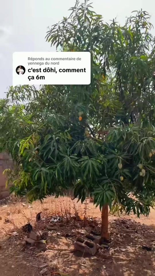 TikTok video thumbnail by badfay_officiel