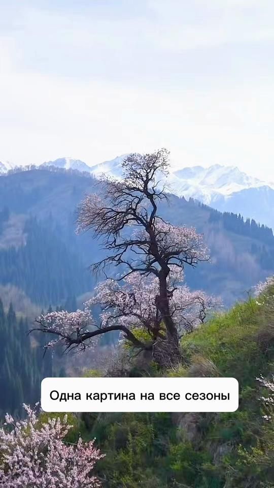 TikTok video thumbnail by dots_foto