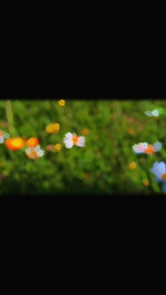 TikTok video thumbnail by aeo_s7