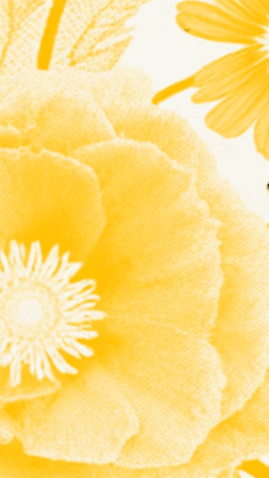 TikTok video thumbnail by jennita.toroboro