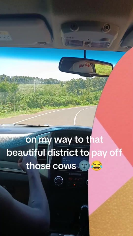 TikTok video thumbnail by chekleah