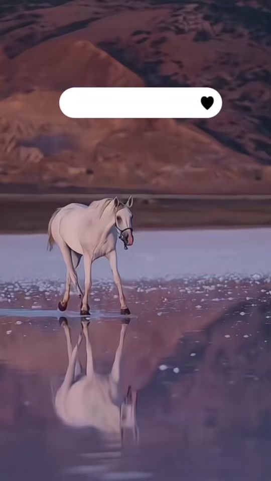 TikTok video thumbnail by a_xrp1