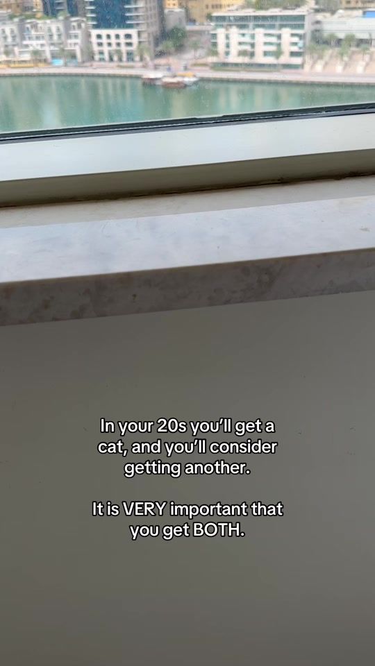 TikTok video thumbnail by orangeisthenewcat__