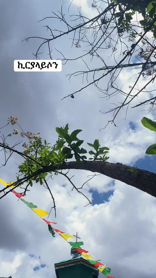 TikTok video thumbnail by nubby197
