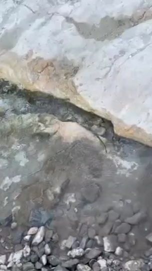 TikTok video thumbnail by gresbalenracine