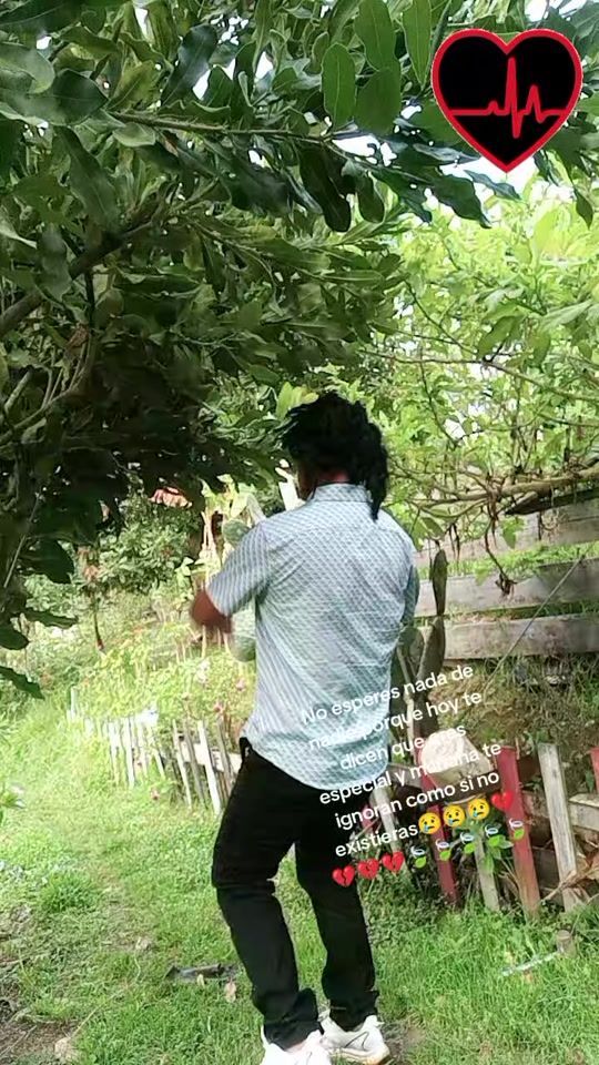 TikTok video thumbnail by luisdeleg562