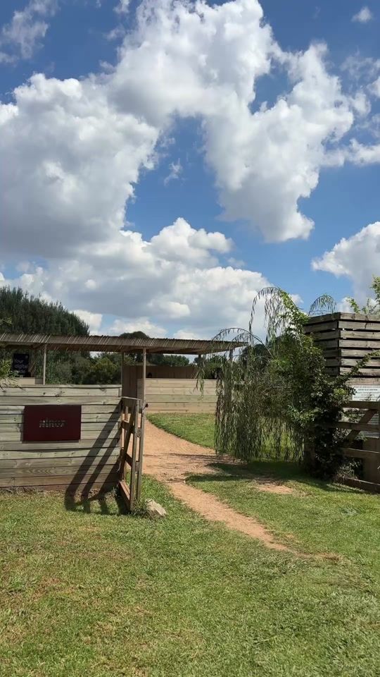 TikTok video thumbnail by jessicamkhize0