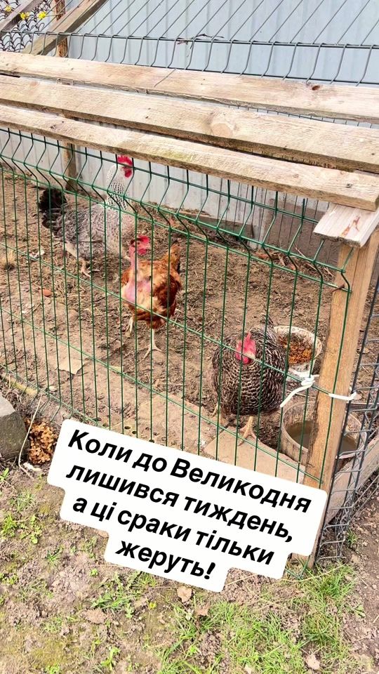 TikTok video thumbnail by vvvovchenko0