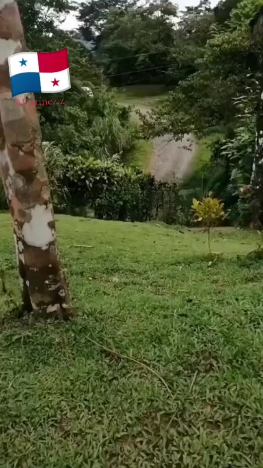TikTok video thumbnail by gonzalom48