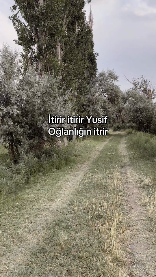 TikTok video thumbnail by 15ali004