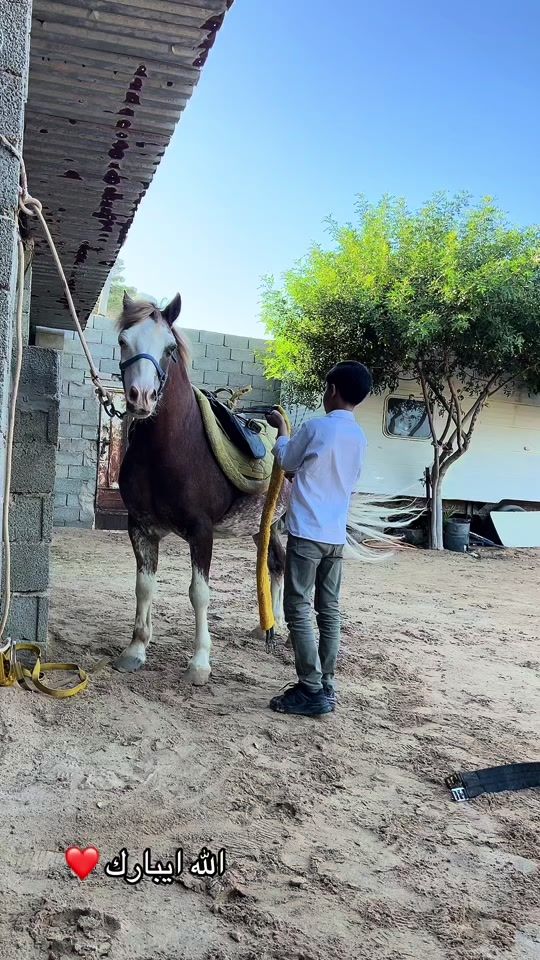 TikTok video thumbnail by ali35altohame