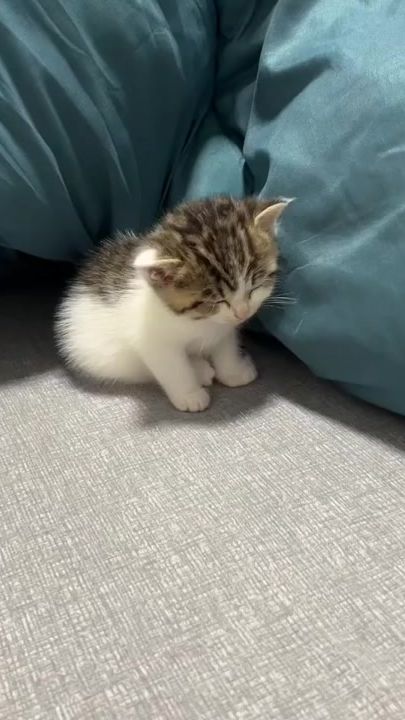 TikTok video thumbnail by regina.yanou