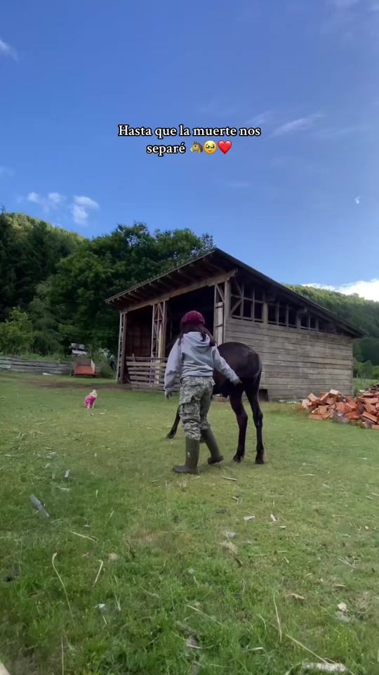 TikTok video thumbnail by _eveeeelynn