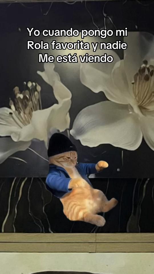 TikTok video thumbnail by samuelvidal8766