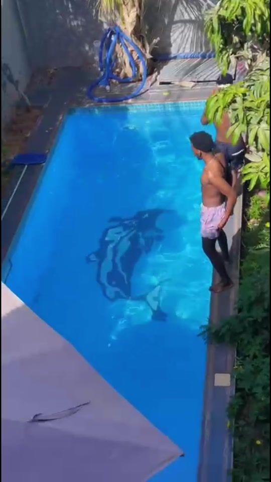 TikTok video thumbnail by taylor.geng84