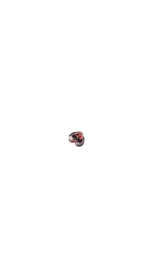 TikTok video thumbnail by awan05333