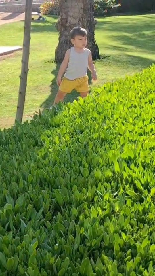 TikTok video thumbnail by hamodigbaria