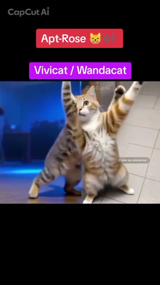 TikTok video thumbnail by planetamichi_geli