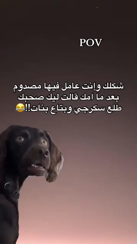 TikTok video thumbnail by user27795536675250