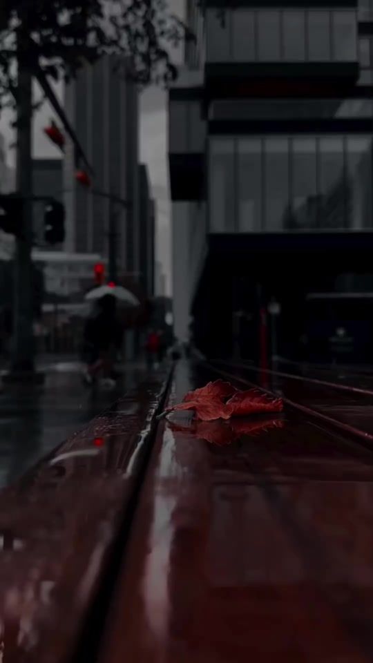 TikTok video thumbnail by melo_music1