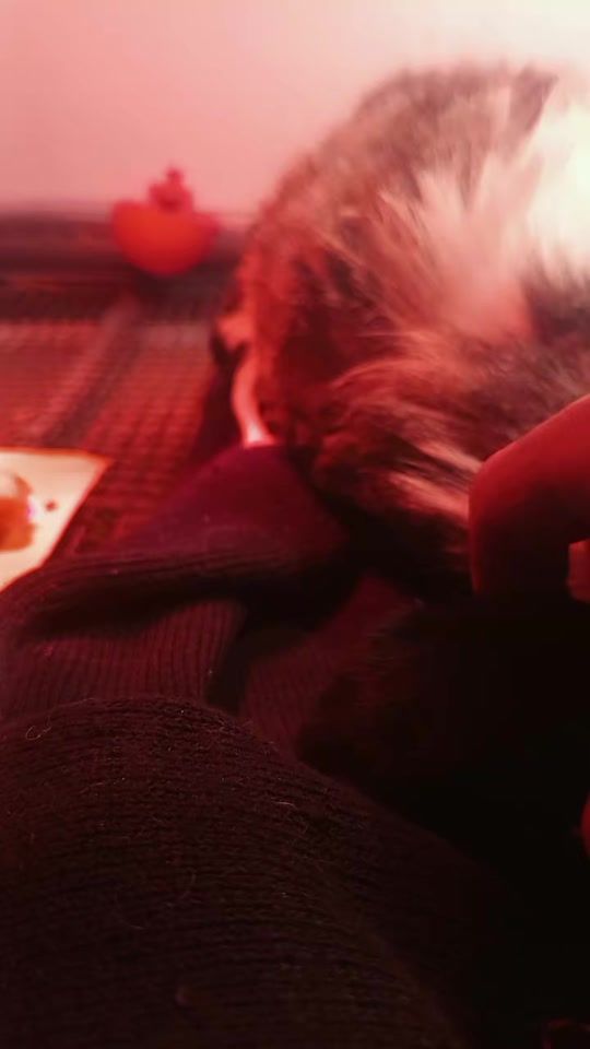 TikTok video thumbnail by deep.phrase