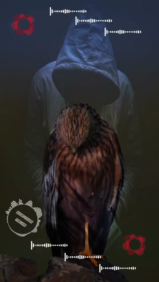 TikTok video thumbnail by dimonadamovich83