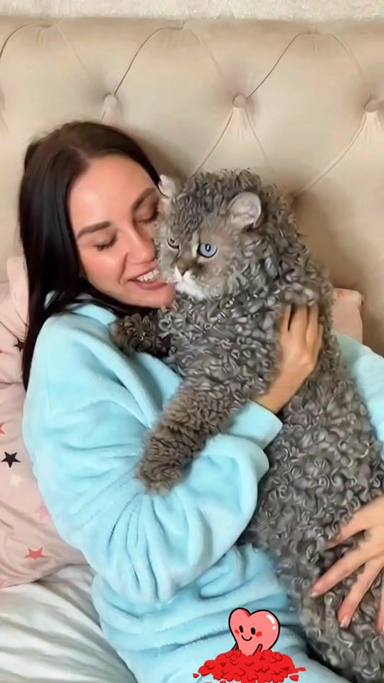 TikTok video thumbnail by katikatcooo
