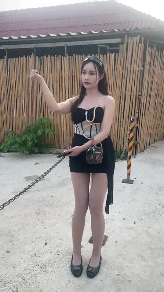 TikTok video thumbnail by beebee_lpb