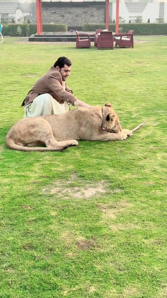 TikTok video thumbnail by mirzamk017