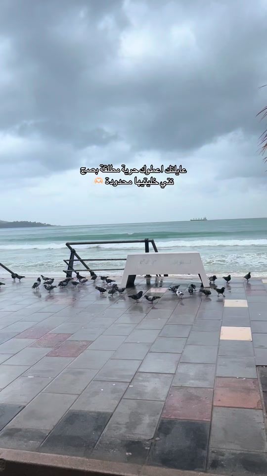TikTok video thumbnail by _areee.jx