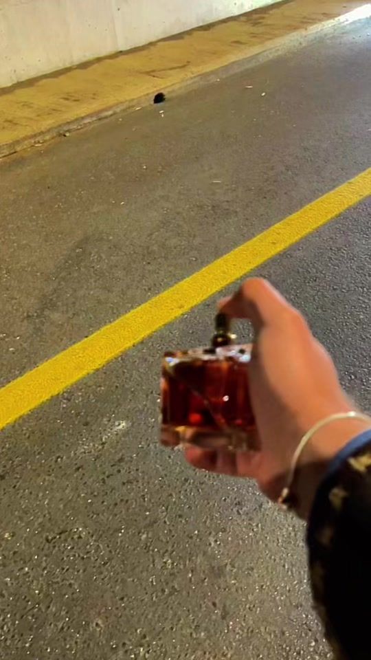 TikTok video thumbnail by 3lawneh0