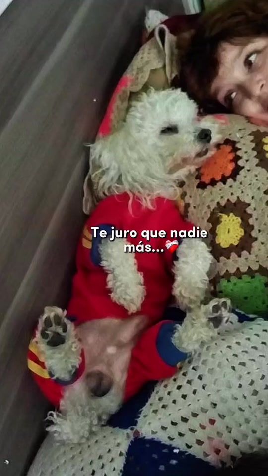 TikTok video thumbnail by mamitainfluencer