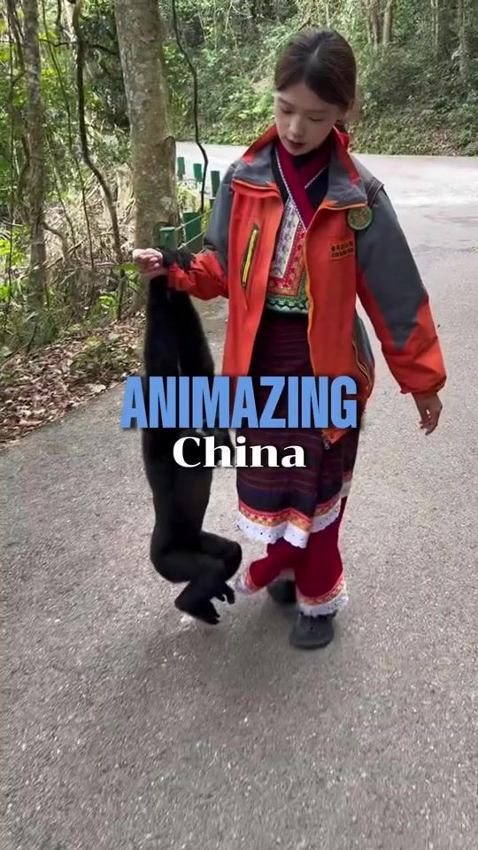 TikTok video thumbnail by chinafocus_official