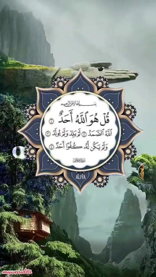 TikTok video thumbnail by mohiuddin2022