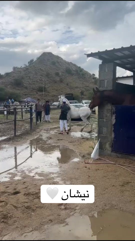 TikTok video thumbnail by faaaz28