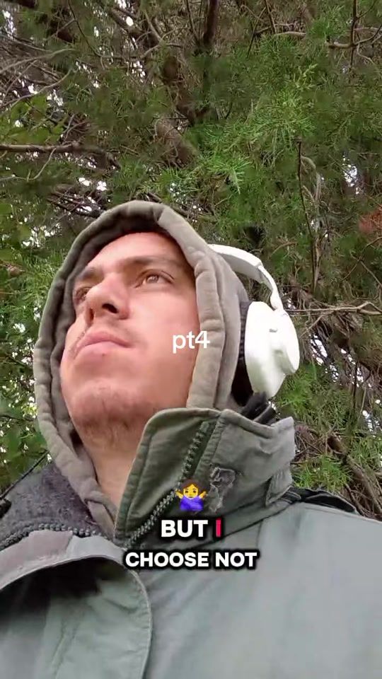 TikTok video thumbnail by r_the_tree