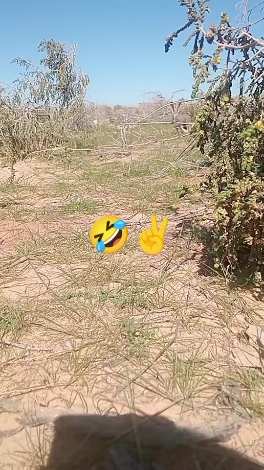 TikTok video thumbnail by djerb78