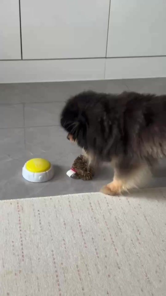 TikTok video thumbnail by kimtantan_