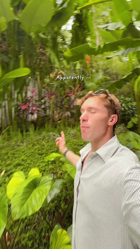 TikTok video thumbnail by aaroncasaa