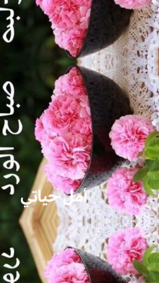 TikTok video thumbnail by fadlo0509534175