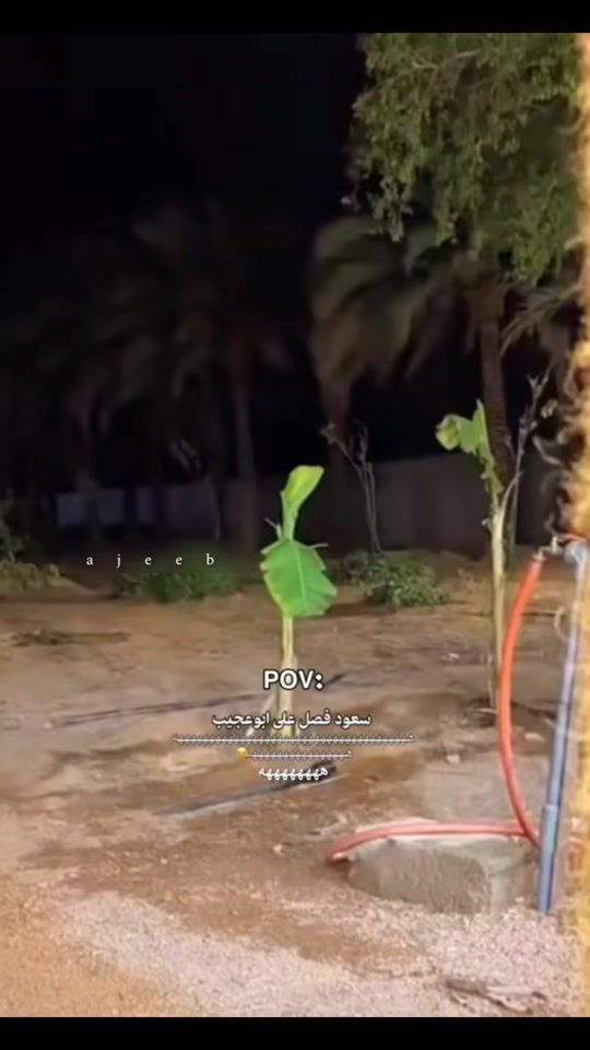 TikTok video thumbnail by _ajeeb1