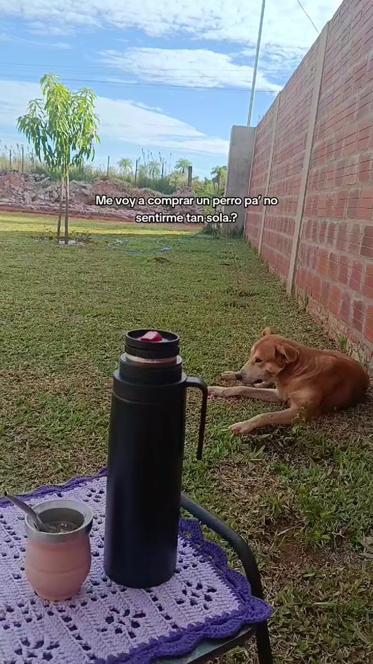 TikTok video thumbnail by elizabethcabrera
