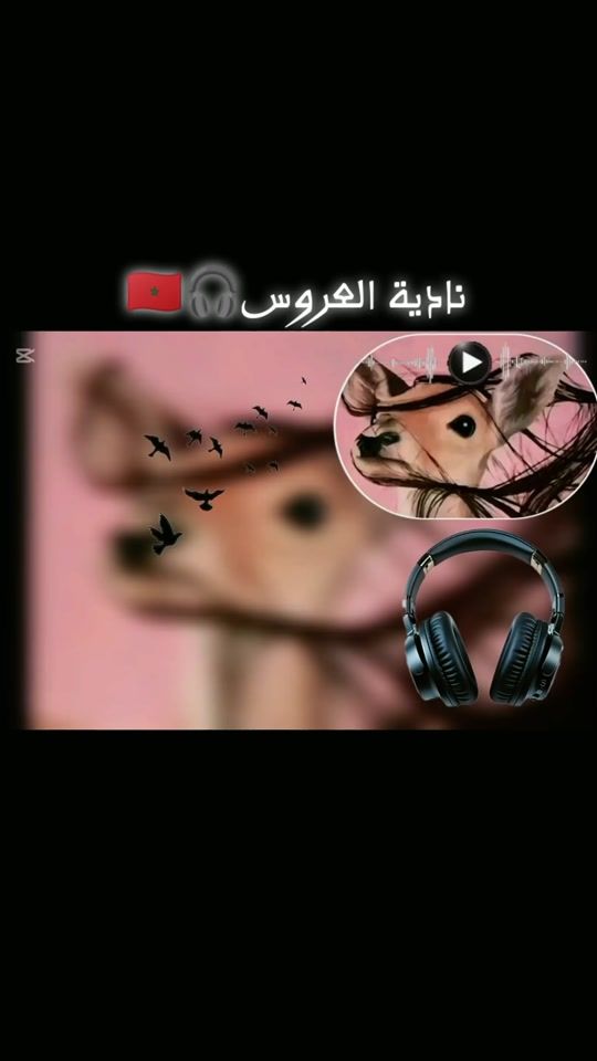 TikTok video thumbnail by algoniali32