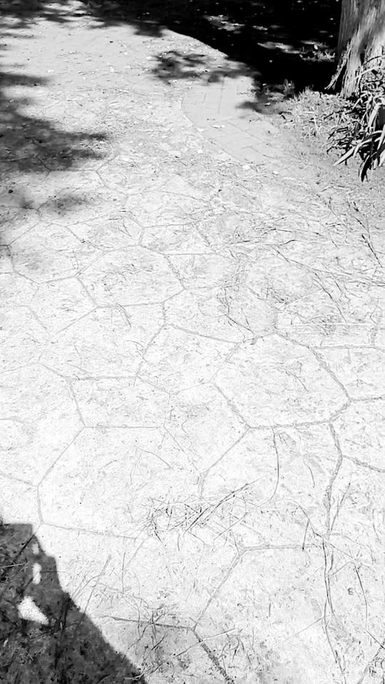 TikTok video thumbnail by ferchoremlpez