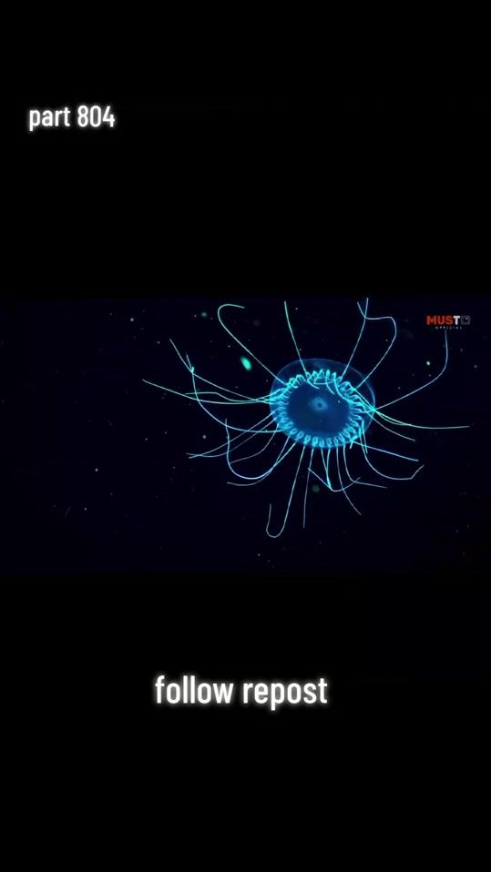 TikTok video thumbnail by ahsan_niazii