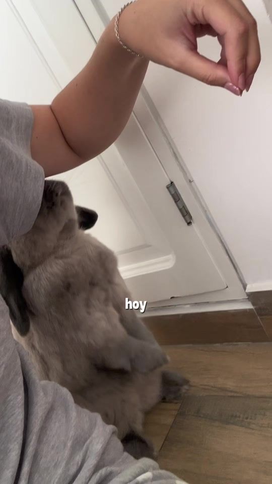 TikTok video thumbnail by simplementewasabi