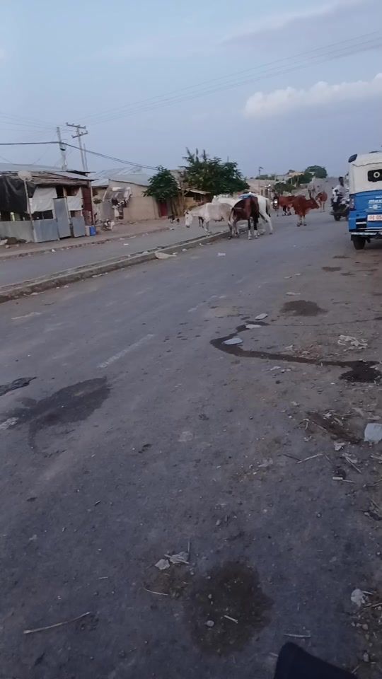 TikTok video thumbnail by mengsttewabe