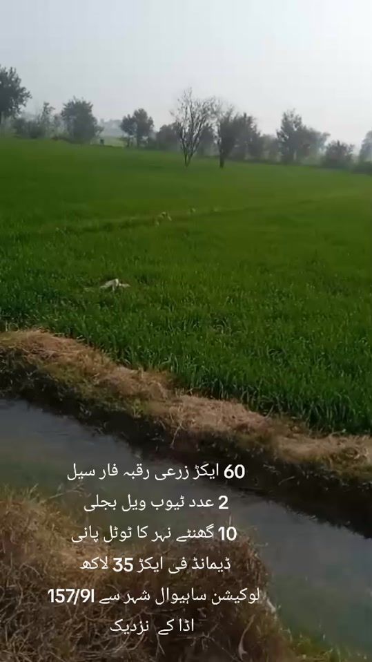 TikTok video thumbnail by bilal.amin.ch