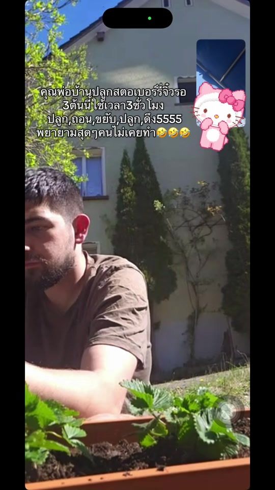 TikTok video thumbnail by knkanpirom